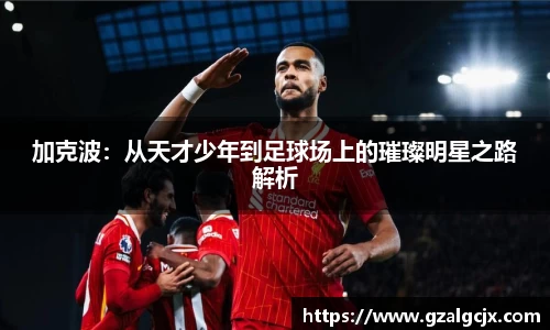 加克波：从天才少年到足球场上的璀璨明星之路解析